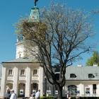 zdjęcie nr 50