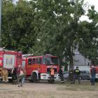 zdjęcie nr 146