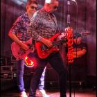 zdjęcie nr 61