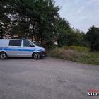 zdjęcie nr 11