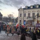zdjęcie nr 14