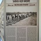 zdjęcie nr 14