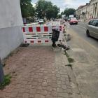 Fotka nr 1 z 12