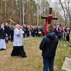 zdjęcie nr 10