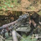 Fotka nr 3 z 12