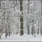 zdjęcie nr 58