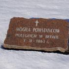 Fotka nr 0 z 71