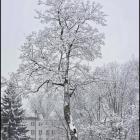zdjęcie nr 73
