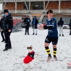 zdjęcie nr 12