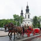 zdjęcie nr 305