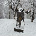 zdjęcie nr 55