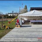 zdjęcie nr 33