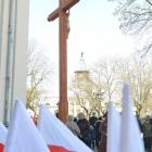 zdjęcie nr 100