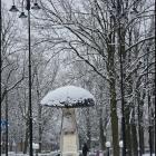 zdjęcie nr 76