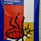 zdjęcie nr 17