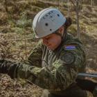 Fotka nr 5 z 13