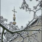 zdjęcie nr 24