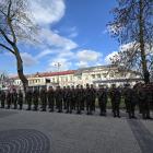 zdjęcie nr 8