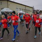 zdjęcie nr 119