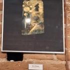 zdjęcie nr 43