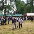 zdjęcie nr 49