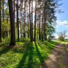 zdjęcie nr 48