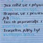 Fotka nr 4 z 10