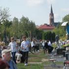 zdjęcie nr 106