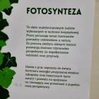 zdjęcie nr 88