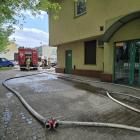 Fotka nr 4 z 21