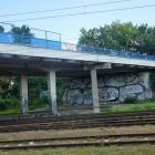 zdjęcie nr 15