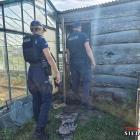 zdjęcie nr 16