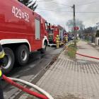 zdjęcie nr 9