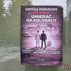 zdjęcie nr 18