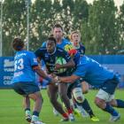 zdjęcie nr 75