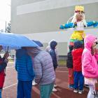 zdjęcie nr 15