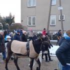 zdjęcie nr 44