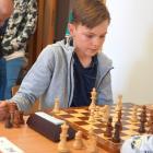 Fotka nr 5 z 54
