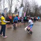 zdjęcie nr 34