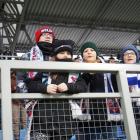 zdjęcie nr 13