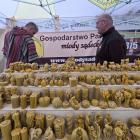 zdjęcie nr 73