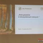 zdjęcie nr 30