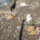 Fotka nr 2 z 17