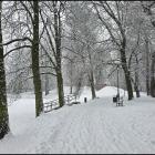 zdjęcie nr 56
