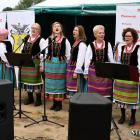 zdjęcie nr 183
