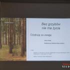 zdjęcie nr 40