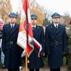 zdjęcie nr 104