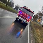 Fotka nr 2 z 3