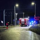 Fotka nr 1 z 11