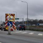 Fotka nr 1 z 8